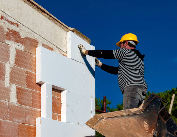 Best Insulation Maintenance and Repair in University Of Lifornia Davis, CA