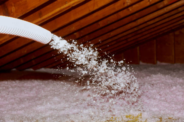 Best Cellulose Insulation in University Of Lifornia Davis, CA