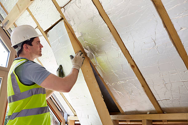 Best Geographic-Specific Insulation Services in University Of Lifornia Davis, CA