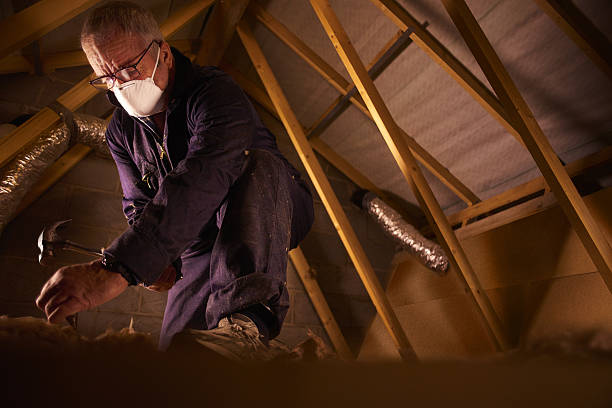 Best Specialized Insulation Services in University Of Lifornia Davis, CA
